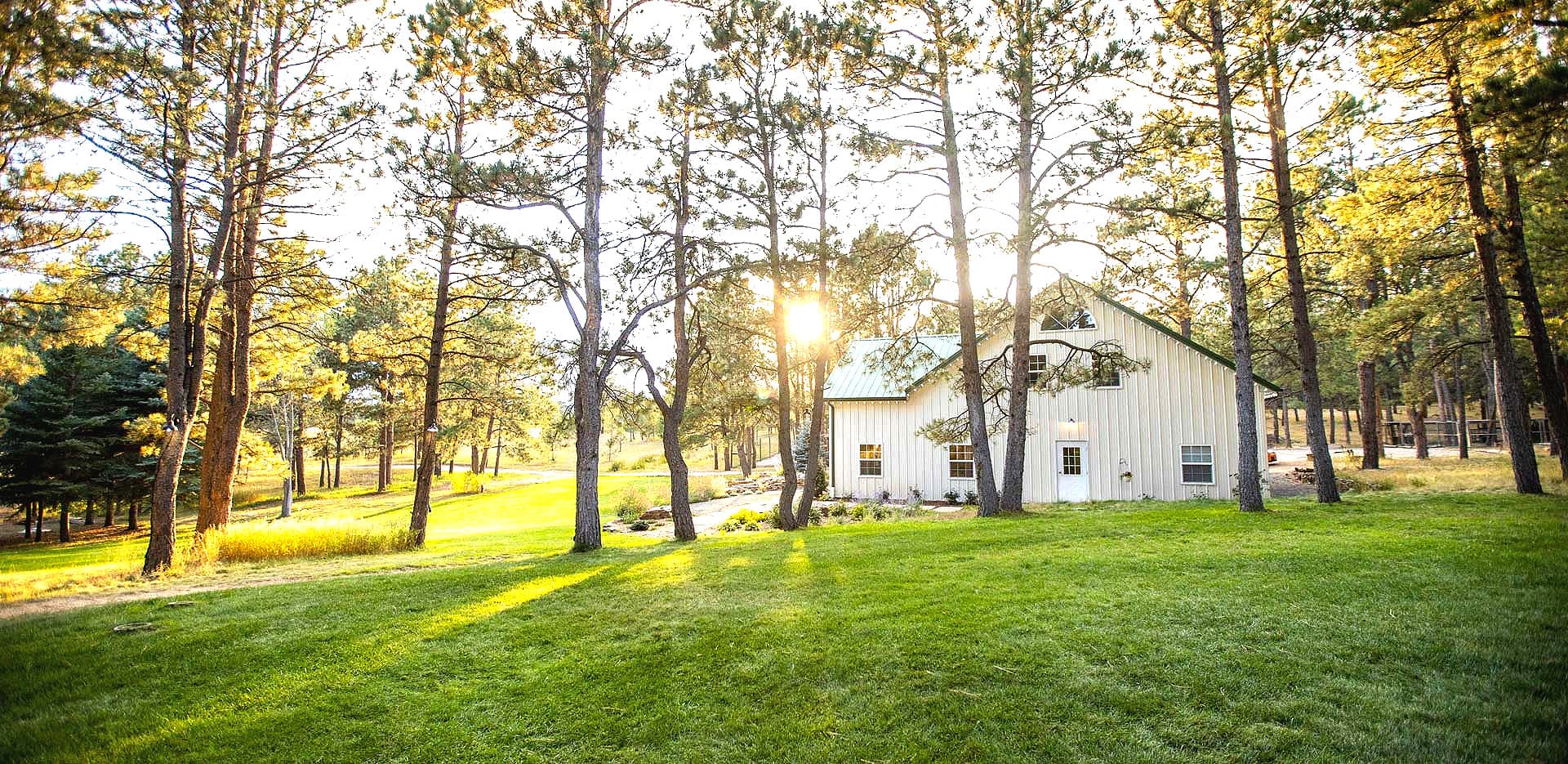White barn event building glowing among sunlit ponderosa pines at Black Forest Meadows in Black Forest, Colorado